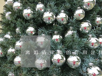 离婚请律师的作用是什么 离婚请律师的作用是什么