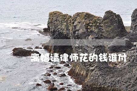 离婚请律师花的钱谁付 离婚请律师花的钱谁付