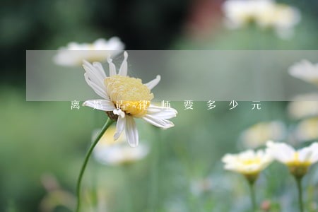离婚请律师要多少元 离婚请律师要多少元