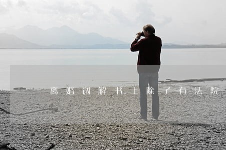 离婚调解书上除了有法院的印章 离婚调解书上除了有法院的印章