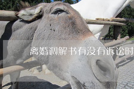 离婚调解书有没有诉讼时效 离婚调解书有没有诉讼时效