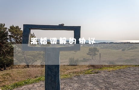 离婚调解的协议 离婚调解的协议