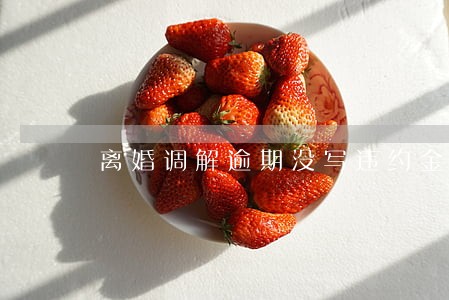 离婚调解逾期没写违约金 离婚调解逾期没写违约金