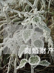 离婚财产分割二审如何判 离婚财产分割二审如何判