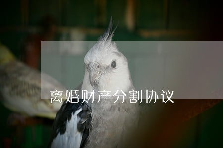 离婚财产分割协议