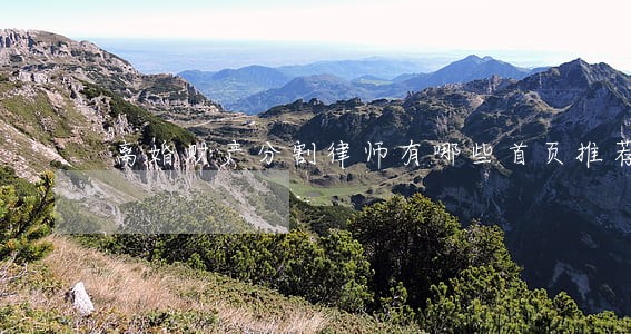 离婚财产分割律师有哪些首页推荐 离婚财产分割律师有哪些首页推荐