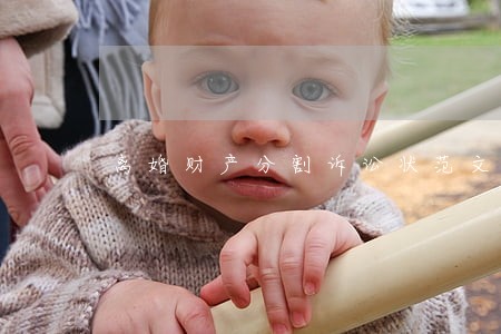 离婚财产分割诉讼状范文 离婚财产分割诉讼状范文