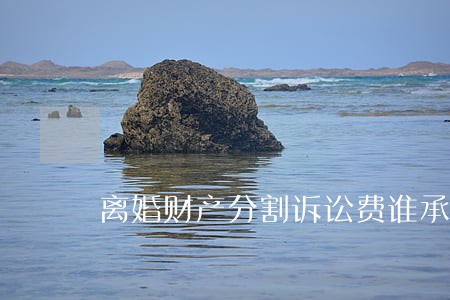离婚财产分割诉讼费谁承担 离婚财产分割诉讼费谁承担