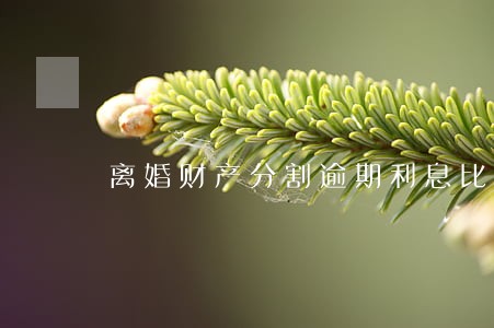离婚财产分割逾期利息比例 离婚财产分割逾期利息比例