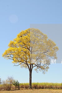 离婚财产分配一审不服怎样二审 离婚财产分配一审不服怎样二审