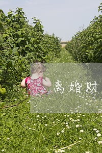 离婚财产分配协议书 离婚财产分配协议书