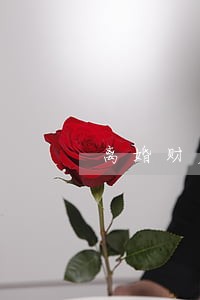 离婚财产协议分配有效吗 离婚财产协议分配有效吗