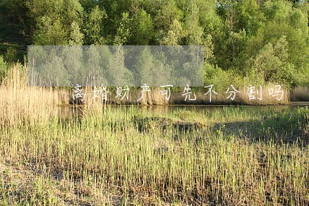 离婚财产可先不分割吗 离婚财产可先不分割吗