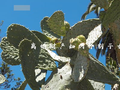 离婚财产如何分割子女财产 离婚财产如何分割子女财产