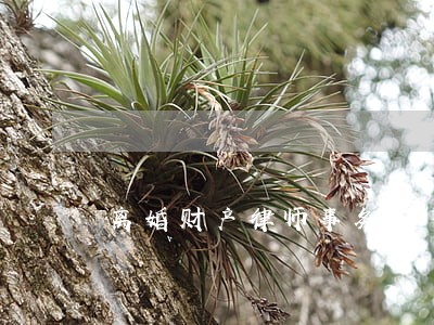 离婚财产律师事务所 离婚财产律师事务所