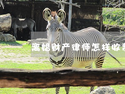 离婚财产律师怎样收费 离婚财产律师怎样收费