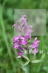 离婚财产留给儿子的风险 离婚财产留给儿子的风险