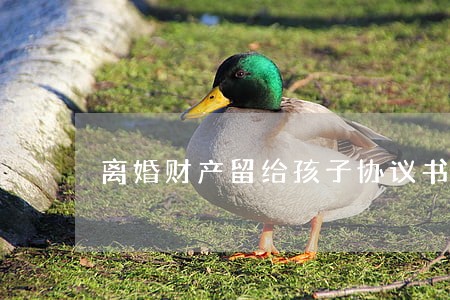 离婚财产留给孩子协议书 离婚财产留给孩子协议书