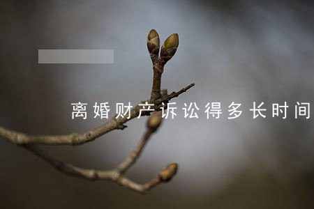 离婚财产诉讼得多长时间 离婚财产诉讼得多长时间