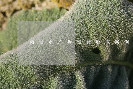 离婚财产诉讼费收取案例 离婚财产诉讼费收取案例