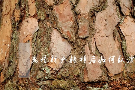 离婚财产转移后如何取消 离婚财产转移后如何取消
