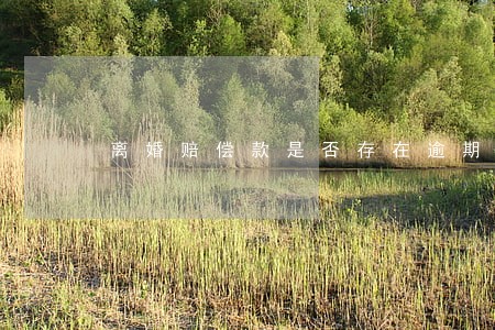 离婚赔偿款是否存在逾期支付利息