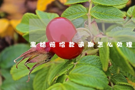 离婚赔偿款逾期怎么处理 离婚赔偿款逾期怎么处理