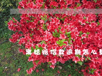 离婚赔偿款逾期怎么算 离婚赔偿款逾期怎么算