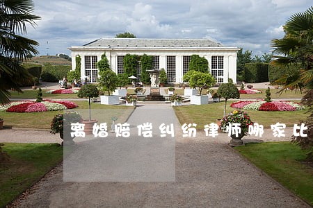 离婚赔偿纠纷律师哪家比较好 离婚赔偿纠纷律师哪家比较好