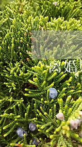 离婚赔偿金额逾期支付 离婚赔偿金额逾期支付