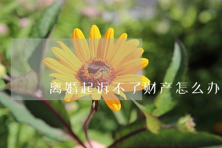 离婚起诉不了财产怎么办 离婚起诉不了财产怎么办