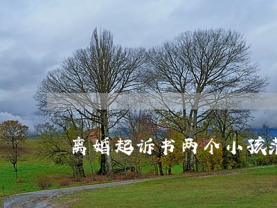 离婚起诉书两个小孩范本 离婚起诉书两个小孩范本