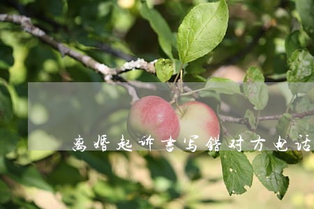 离婚起诉书写错对方电话 离婚起诉书写错对方电话