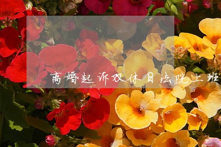 离婚起诉双休日法院上班吗 离婚起诉双休日法院上班吗