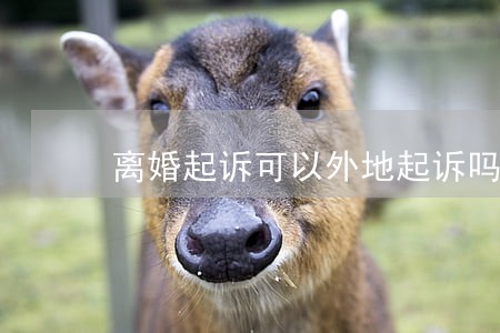 离婚起诉可以外地起诉吗