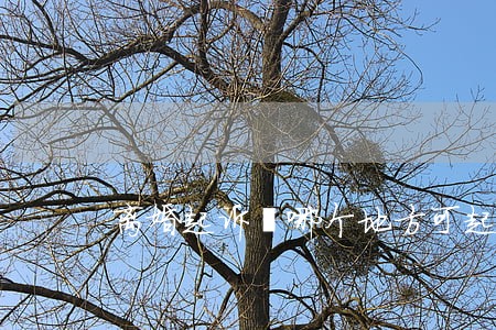 离婚起诉奘哪个地方可起诉 离婚起诉奘哪个地方可起诉