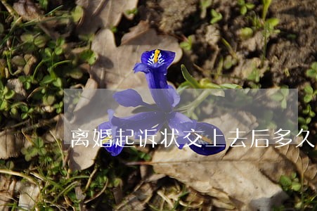 离婚起诉状交上去后多久能离婚 离婚起诉状交上去后多久能离婚