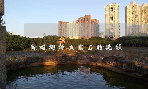 离婚起诉立案后的流程 离婚起诉立案后的流程