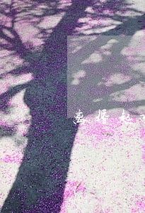 离婚起诉要请律师吗律师胜诉率高