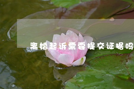 离婚起诉需要提交证据吗 离婚起诉需要提交证据吗