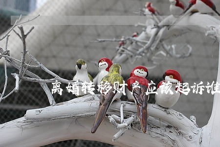 离婚转移财产应该起诉谁 离婚转移财产应该起诉谁