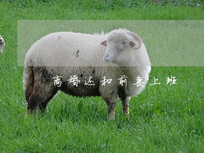 离婚还和前妻上班 离婚还和前妻上班