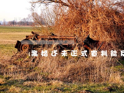 离婚还未正式宣判能反悔吗