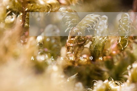 离婚还用找律师吗 离婚还用找律师吗