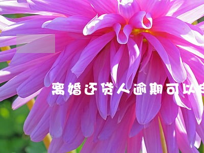 离婚还贷人逾期可以申诉吗 离婚还贷人逾期可以申诉吗