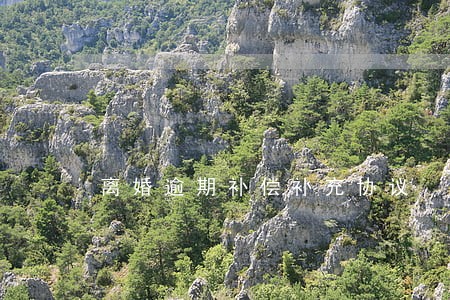 离婚逾期补偿补充协议 离婚逾期补偿补充协议