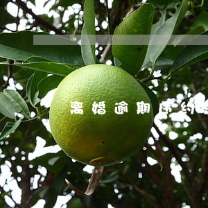 离婚逾期违约金 离婚逾期违约金