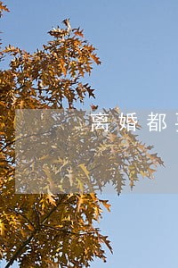 离婚都要两个月冷静期吗 离婚都要两个月冷静期吗