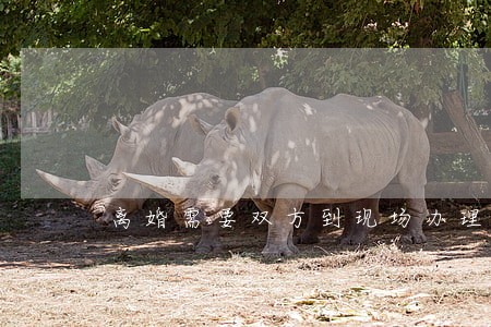 离婚需要双方到现场办理吗 离婚需要双方到现场办理吗