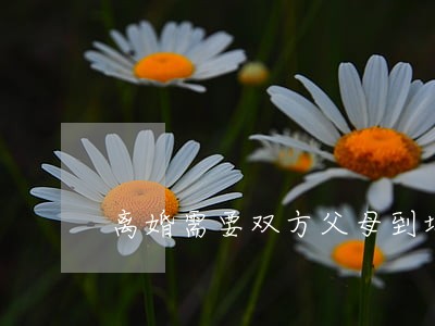 离婚需要双方父母到场嘛 离婚需要双方父母到场嘛